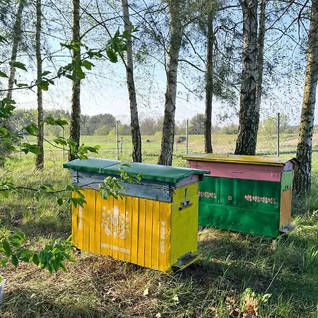 Tatil Evi Nadbuzanska Ostoja Kamienczyk